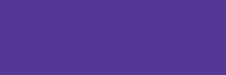 16oz Createx Wicked Color W055 - Detail Violet