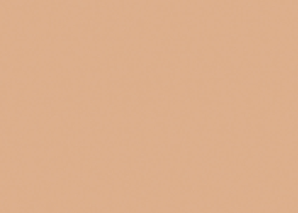 Medea NuWorlds Paint Deep Neutral Flesh 1 oz