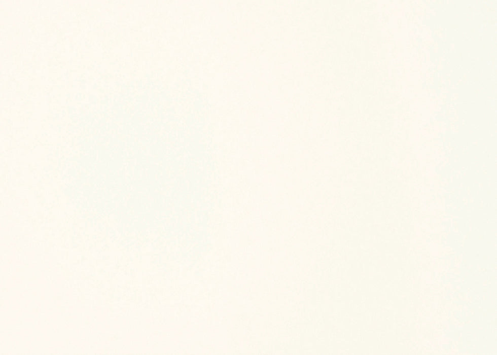 Medea NuWorlds Paint Old Bone White 1 oz