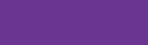 4oz Jacquard Airbrush Color Bright Purple