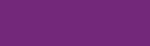 4oz Jacquard Airbrush Color Fluorescent Violet