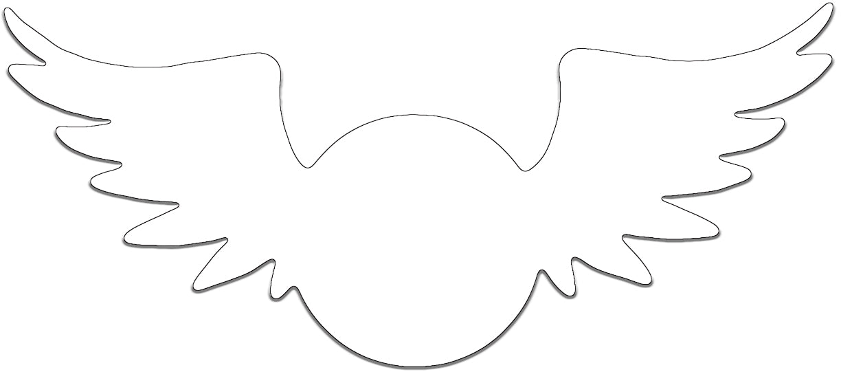 Custom Cuts Aluminum Panel - Eyeball with Wings 17" x 7.5"