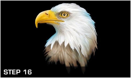 Harder Steenbeck 'Eagle Wildlife' Stencils with Step by Step Instructions