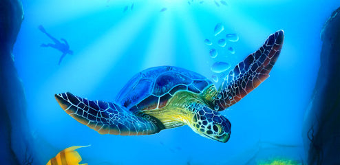 Harder Steenbeck 'Turtle Sea Life' Stencil with Step by Step Instructions