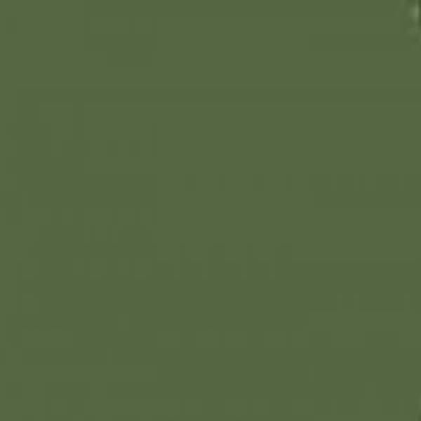 Mission Models Hobby Paint - Russian Dark Olive 2