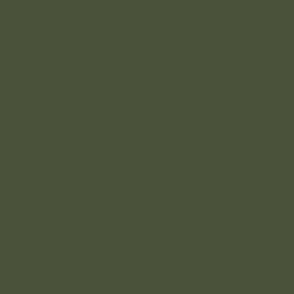 Mission Models Hobby Paint - Russian Dark Olive FS 34102
